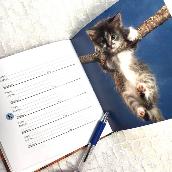 Address Book Cat Kitten Antics Vintage - Picture 3 of 8